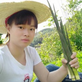 失踪人员：寻找生父母。