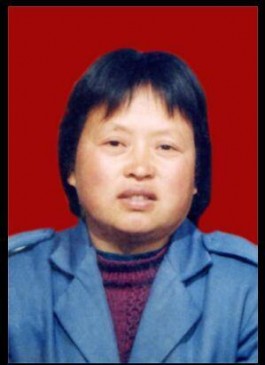 失踪人员：寻找王书芝