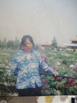 失踪人员：杨凤英